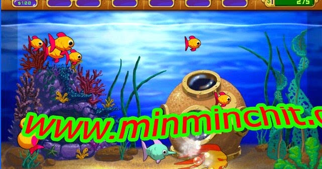 insaniquarium app