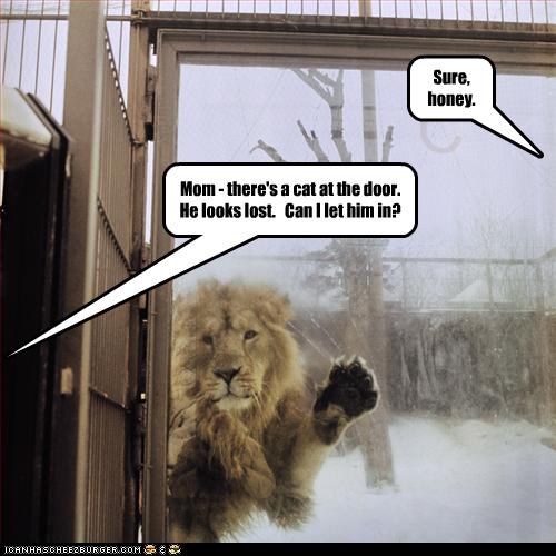 Funny Narnia Pictures