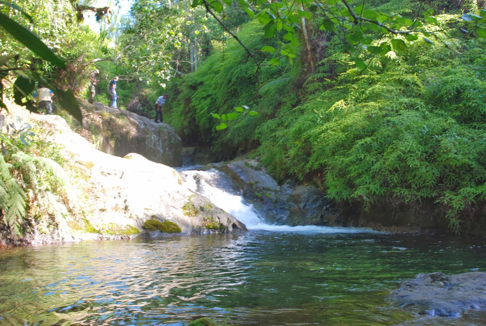 Reserva Científica Ébano Verde es una “joya” escondida en la Cordillera