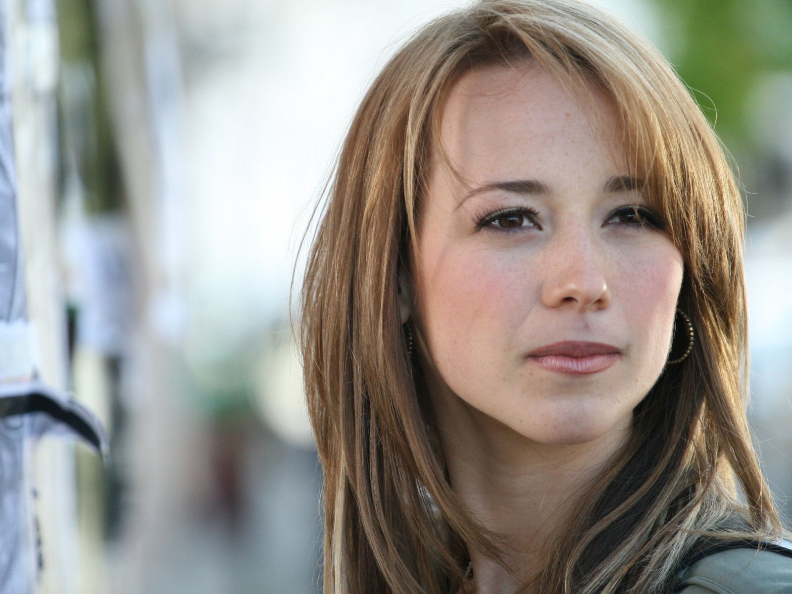 Karine Vanasse: Karine Vanasse