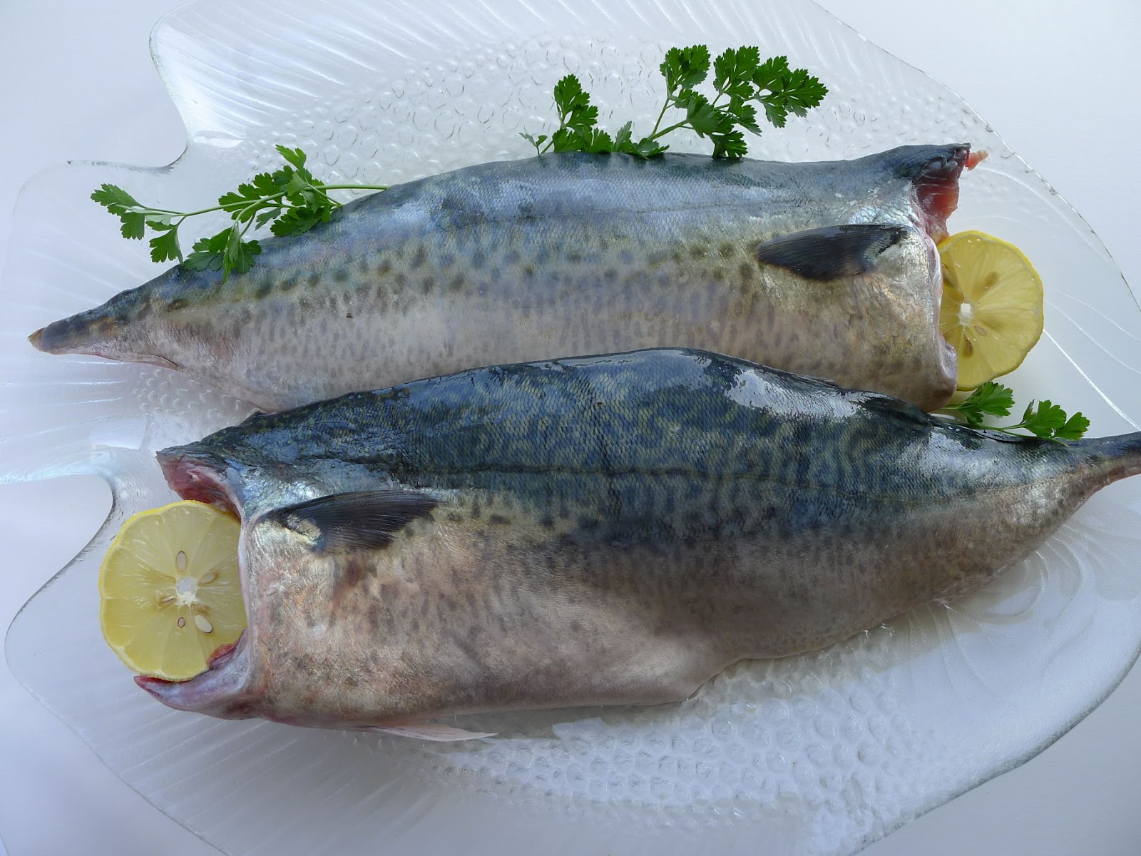 MY KITCHEN IN SPAIN THE OTHER BLUE FISH