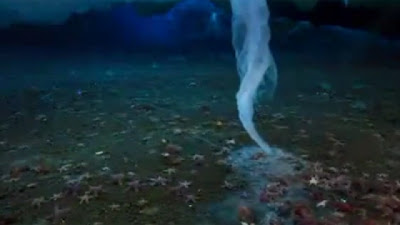 海底死亡冰柱 影片
