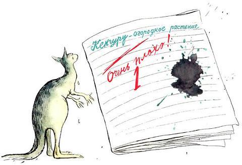 kangaroo кенгуру растут на грядке