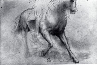 A horse study