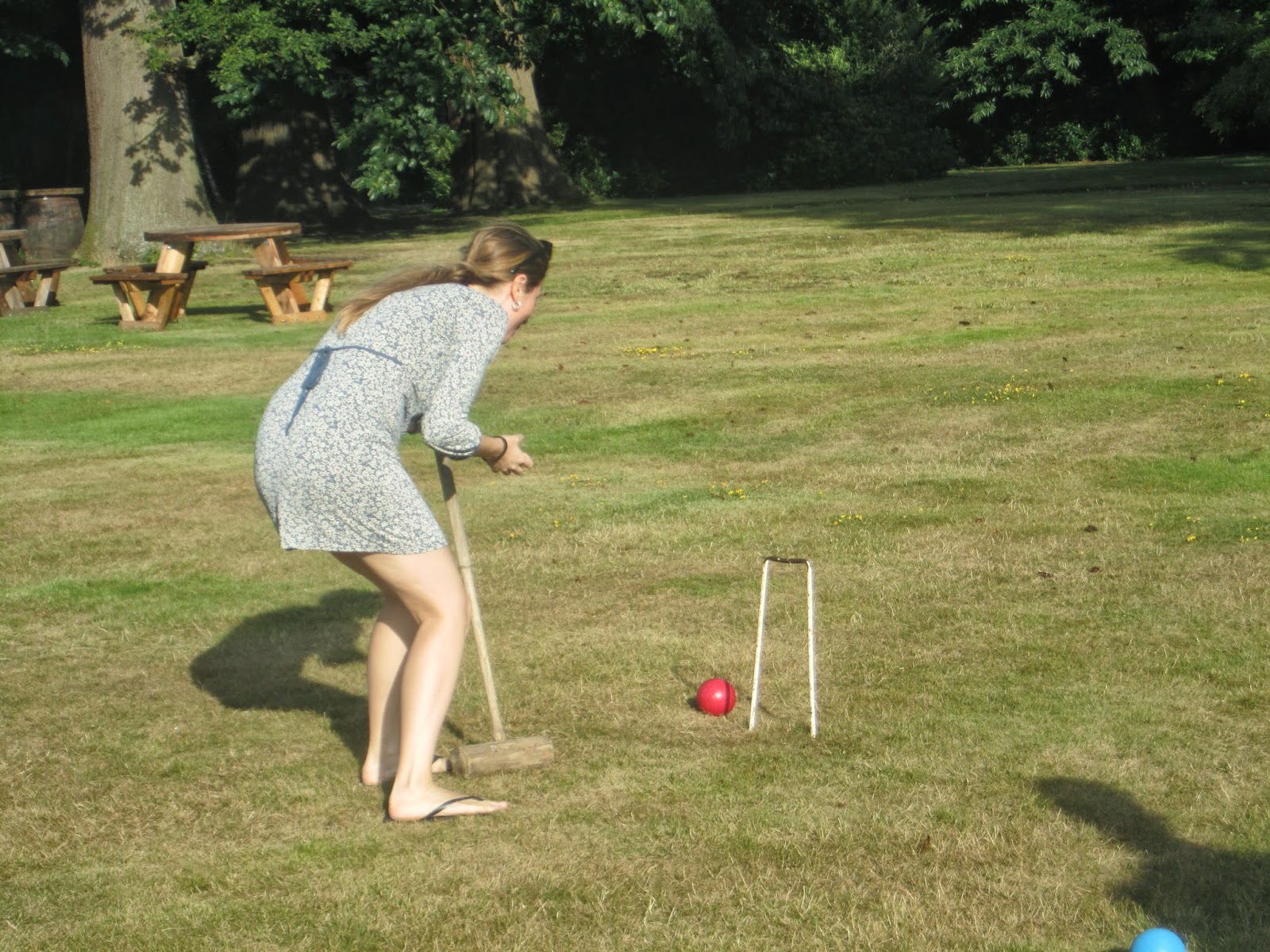 ...the sight of morning... The Rules of Croquet