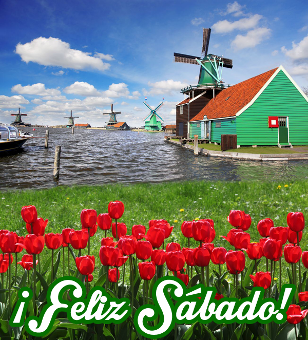 Résultat de recherche d'images pour "feliz sáabado con flores"