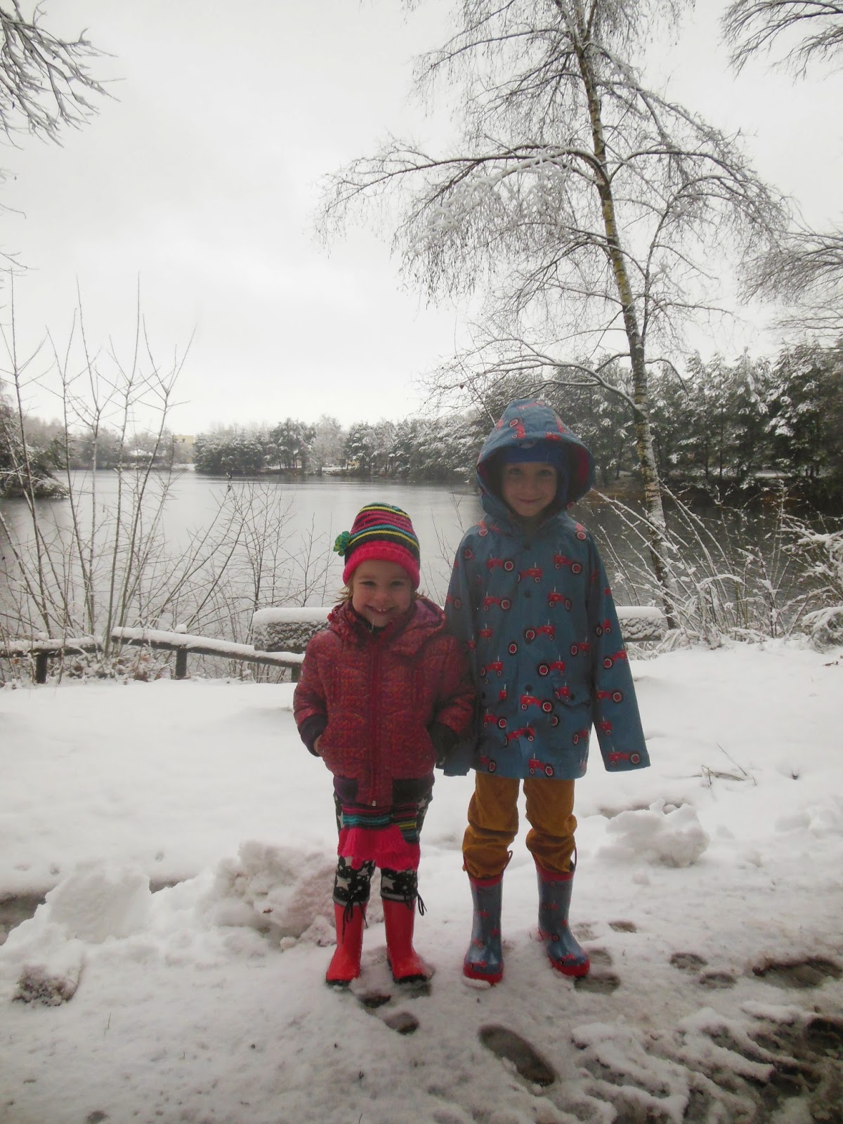 Gekwek: kerstvakantie: deel 2: limburgse bossen