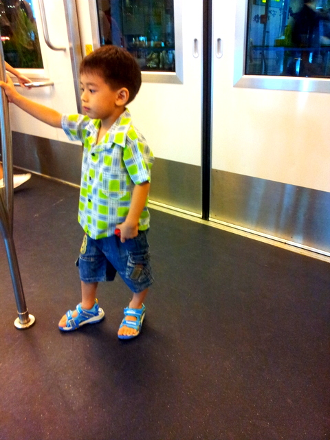 skytrain singapore airport train