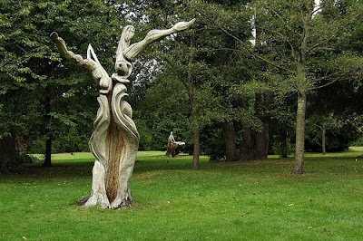 A Branching Abstract Carving abstract carving bute park
