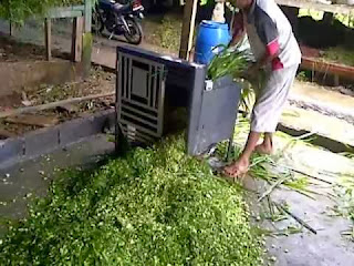 mesin pencacah rumput mesin pencacah rumput