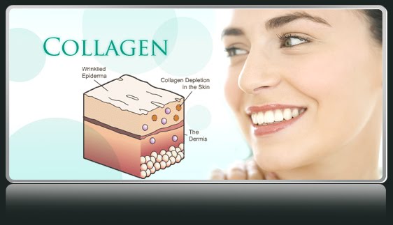 Collagen