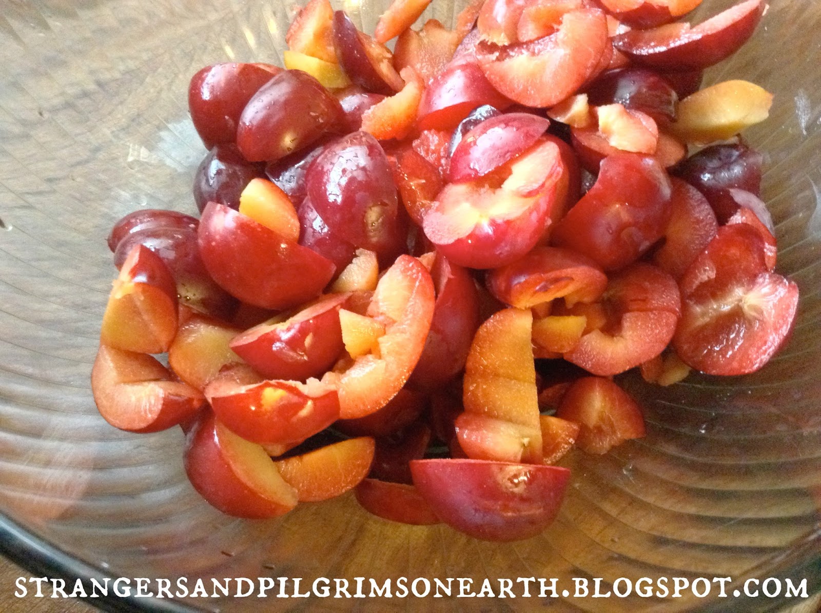 Strangers & Pilgrims on Earth How to Can Plum Sauce and Plum Jam {DIY