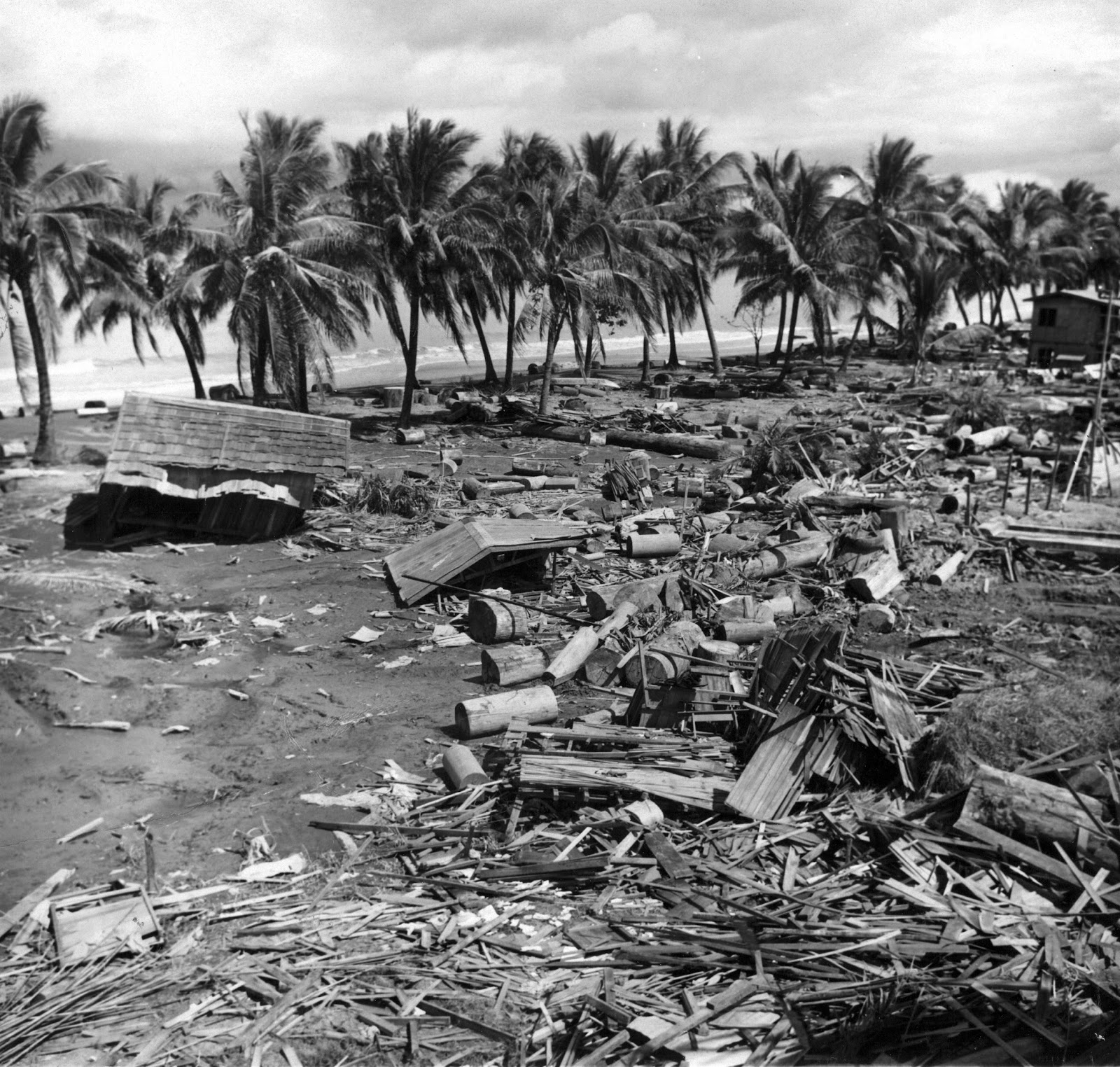 Is philippines experience tsunami