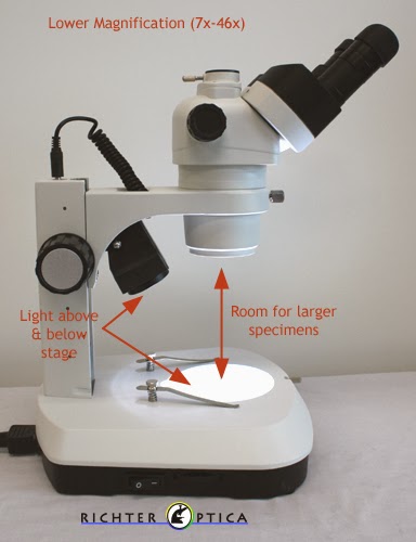 Stereo microscope diagram
