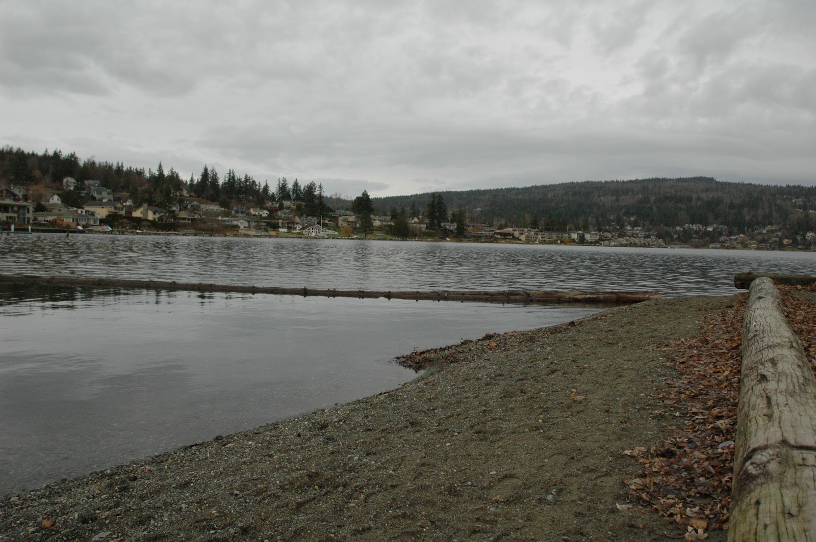 Silver Beach Beacon Phosphorus laden Lake raises eyebrows of
