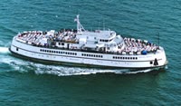 Marthas vineyard escorts NOW FOR THE CHICKENS, Martha's Vineyard Mysteries