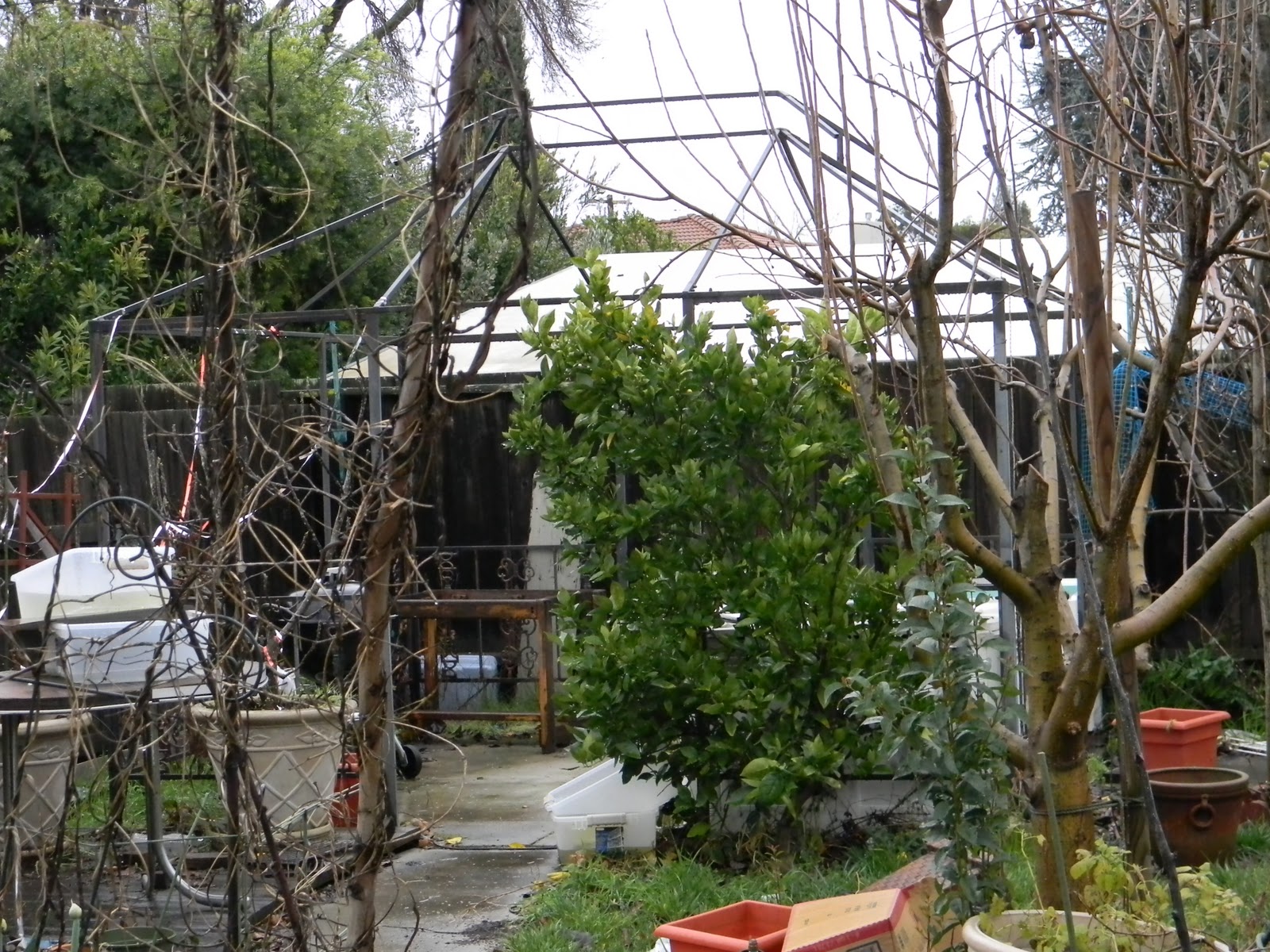 WolfenHawke1 Making a greenhouse from a metal gazebo frame