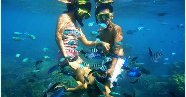 Karimun Jawa, pulau wisata yang terletak di Provinsi Jawa ...