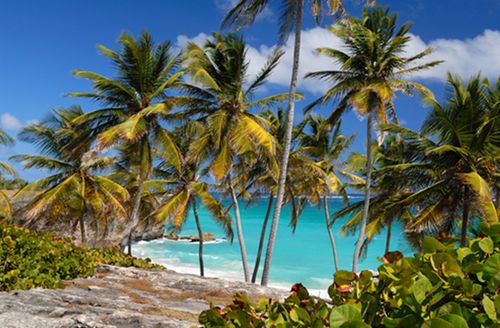 Praia Bottom Bay - Barbados