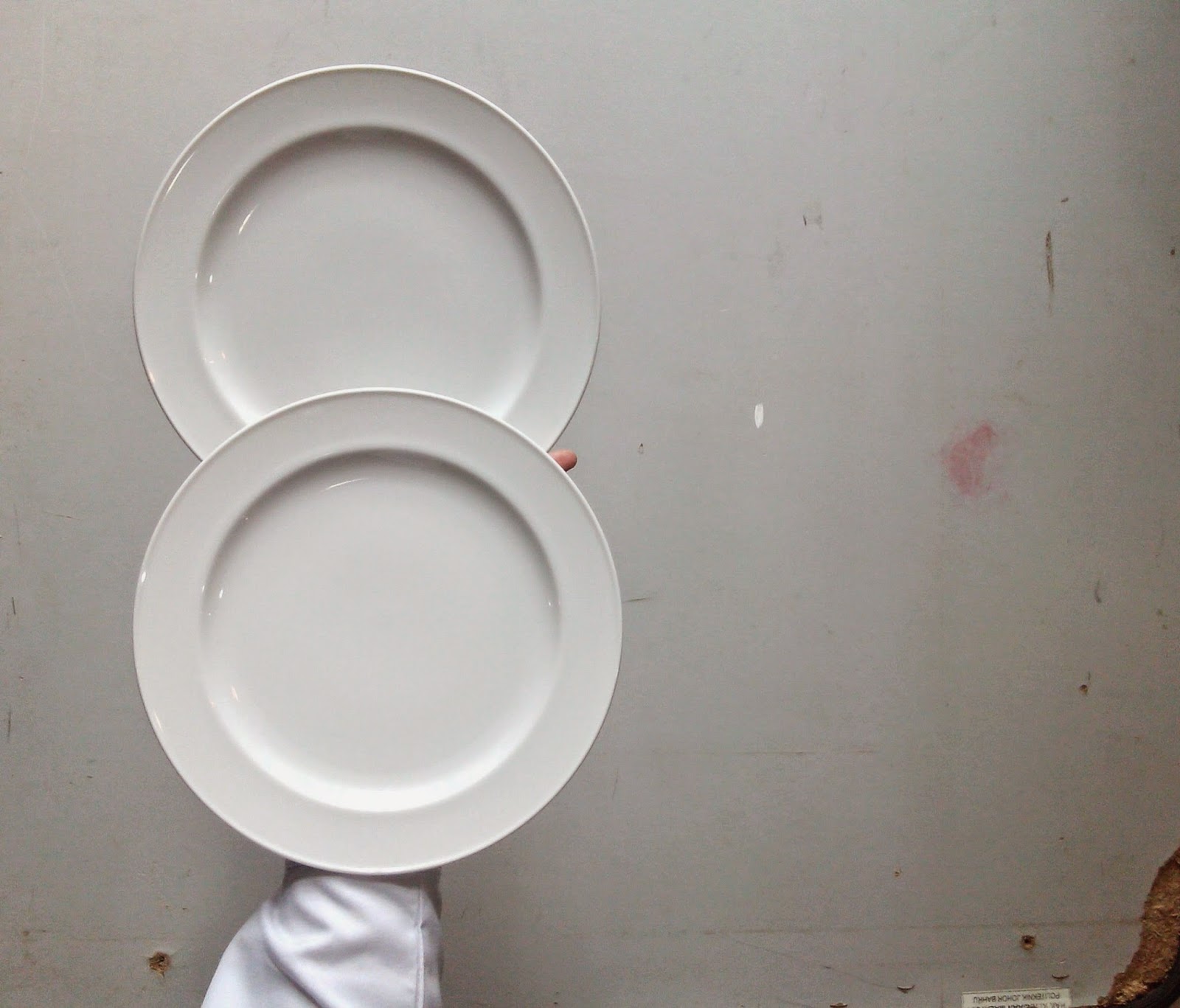 Food & Beverage Information CARRYING PLATE TECHNIQUES