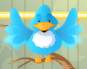 C'est mon bel oiseau Pipo ! Pipo mon petit oiseau