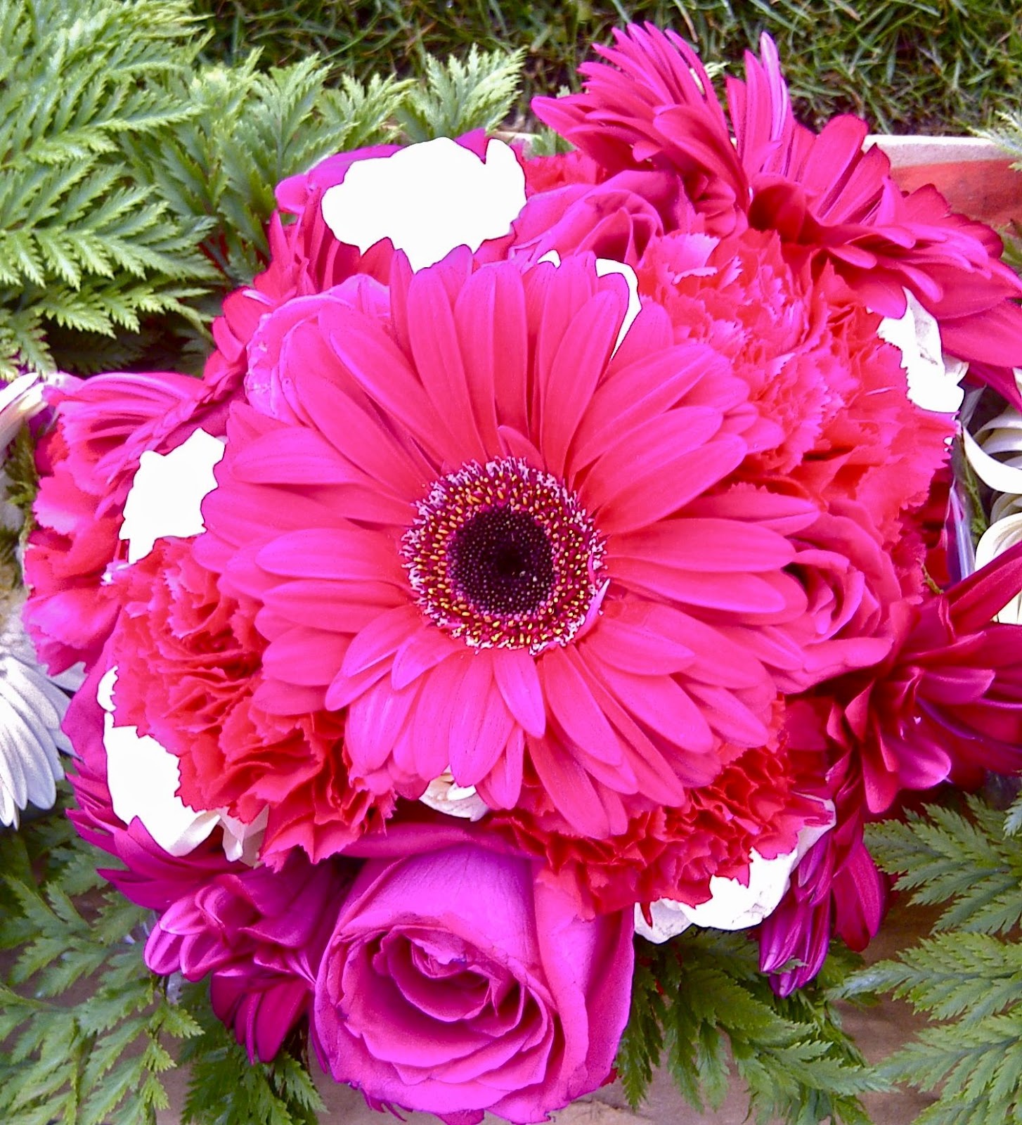 Dark Pink And White Roses Dark Pink And White Roses