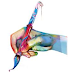 Fungsi Toolbox pada CorelDRAW thumbnail