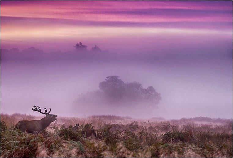 emerging photographers, Best Photo of the Day in Emphoka by Nialletto, https://flic.kr/p/rA1rPH emerging photographers, Best Photo of the Day in Emphoka by Nialletto, https://flic.kr/p/rA1rPH