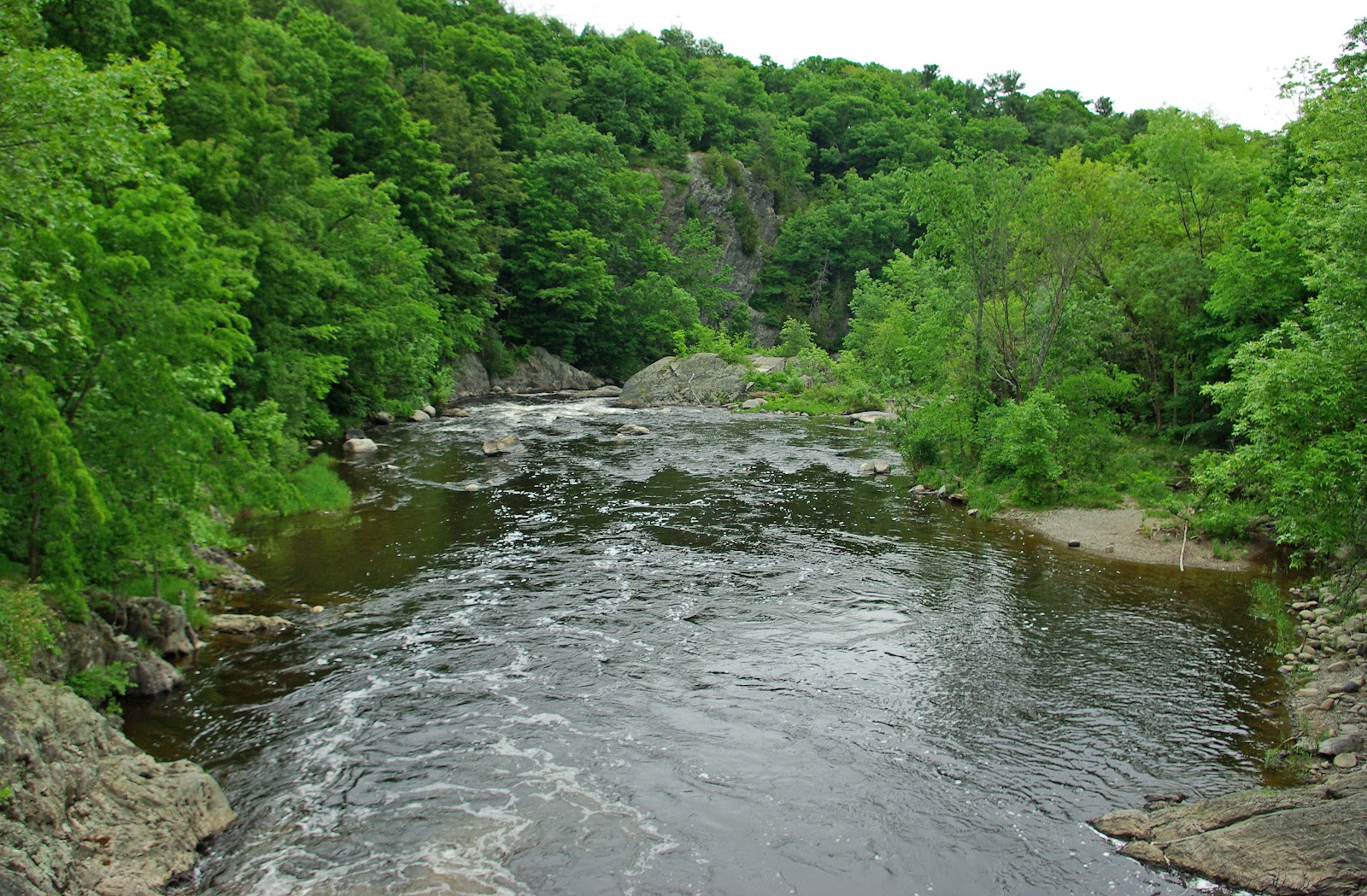 Hiking in Maine with Kelley 6/2/12 Kenduskeag Stream Trail