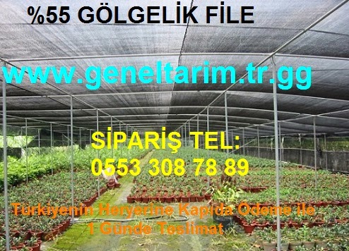 Bahçe Gölgelik File