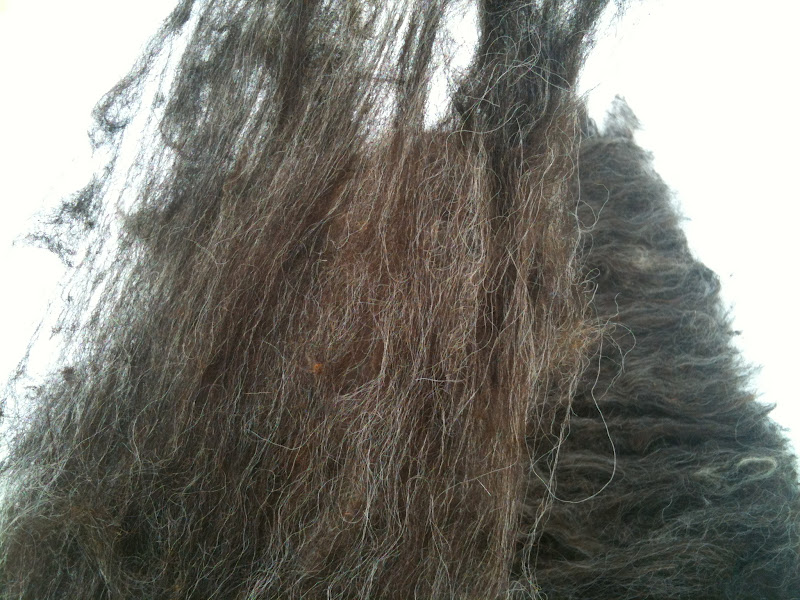 Soul Flower Farm Wet Felting With Raw Wool