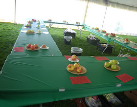Apple Testing samples in Testing Tent at 2011 UBC Apple Festival Apple Testing samples in Testing Tent at 2011 UBC Apple Festival