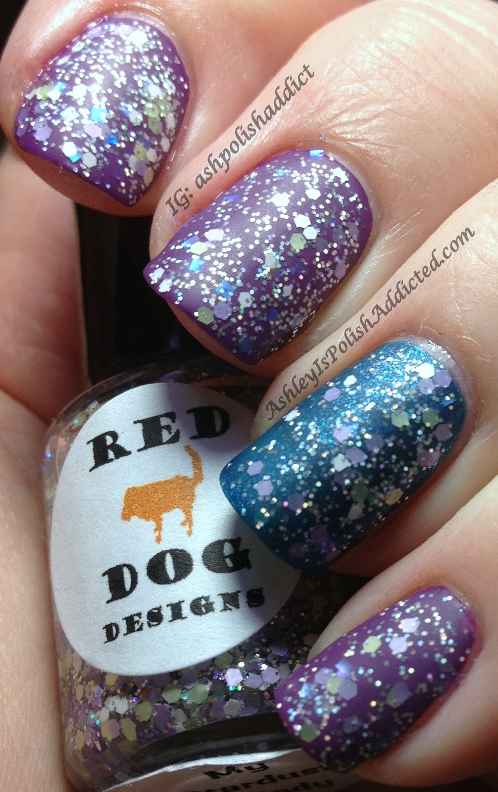 stardust design