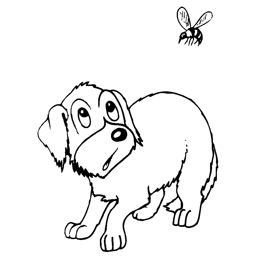 Cachorros Desenhos Para Colorir Desenhos Para Colorir Quantas vezes você já se perguntou qual a raça daquele cachorro do desenho animado? desenhos para colorir blogger