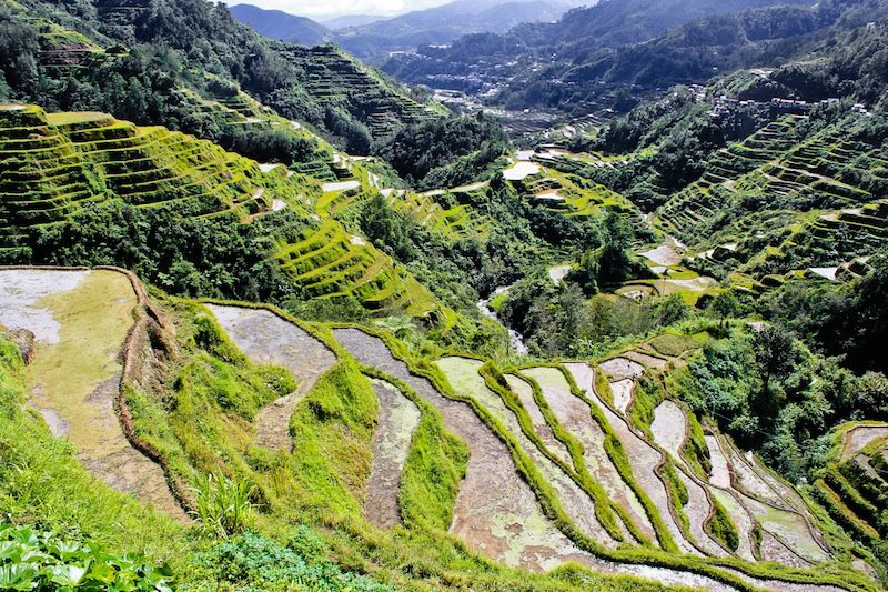 Safest Place on Earth Is More Fun In the PhilippinesPuerto Princesa