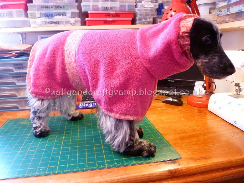 Pretty Things Doggy Bathrobe!