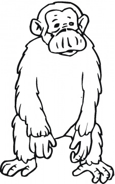 Orangutans Coloring Pages Ideas