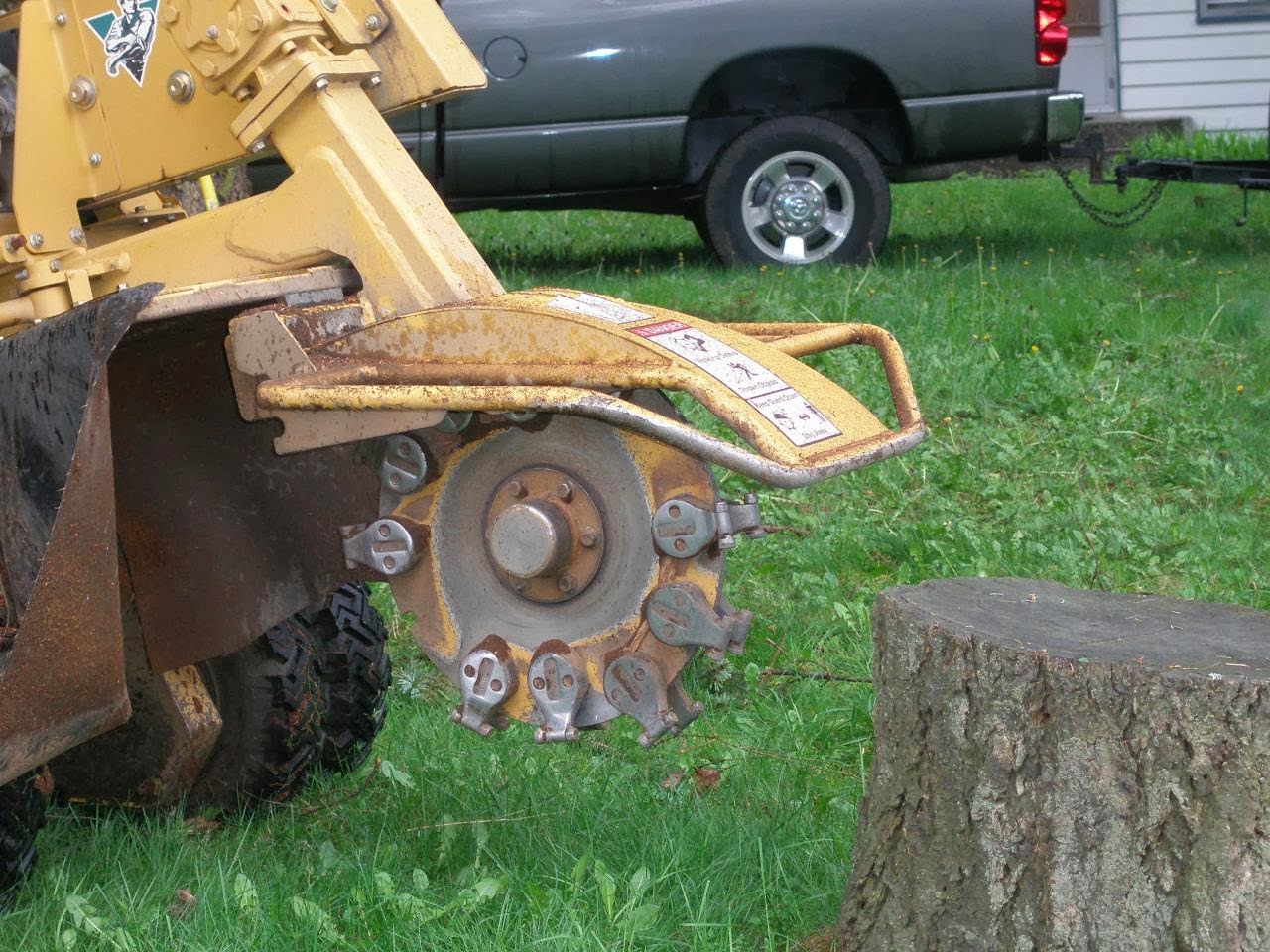Professional Stump Grinding Services Arlington, Washington Brads