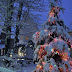 Holiday Snow Pics