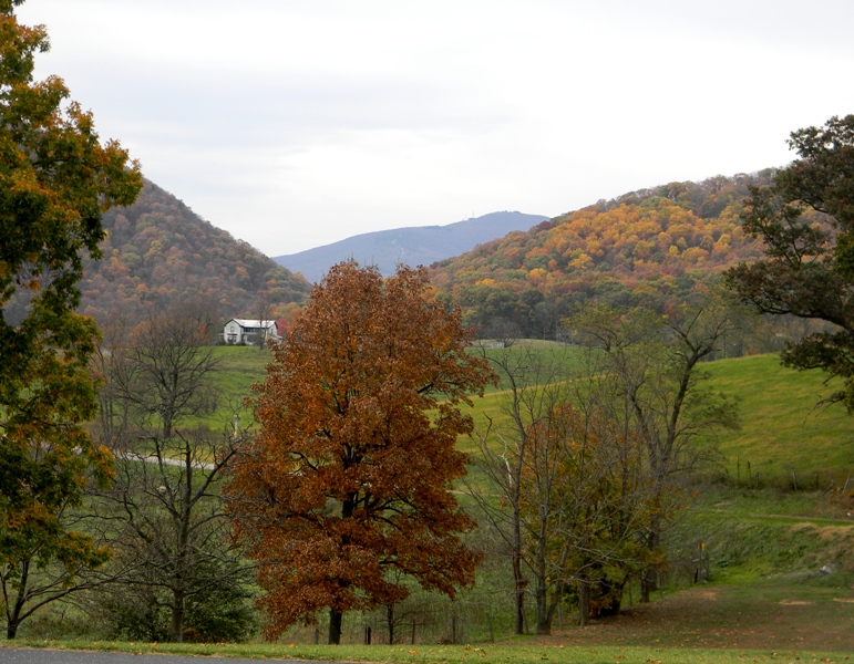 SWAC Girl Buffalo Gap western Augusta County