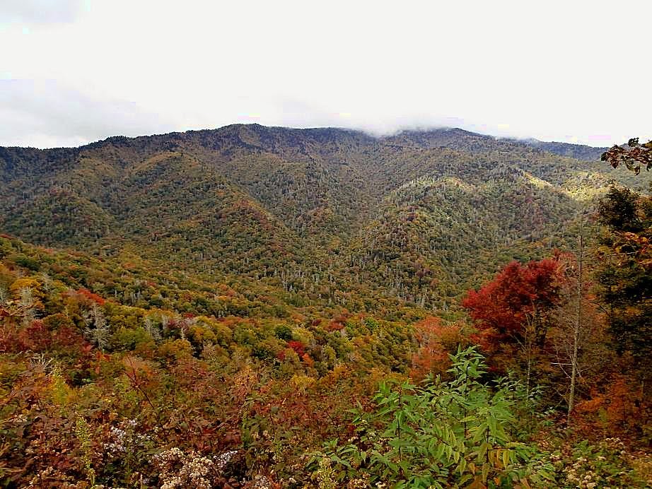 View from Newfound Gap Road