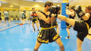 CHINESE BOXING -  SANDA