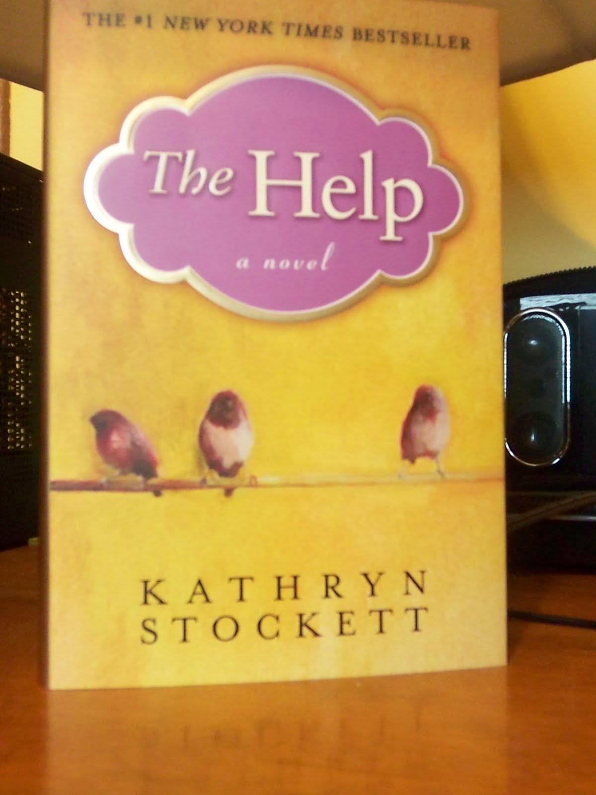 The help kathryn stockett thesis