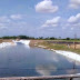 Agricultores Felipense visitam fazenda de criação de tilápia em Apodi.
