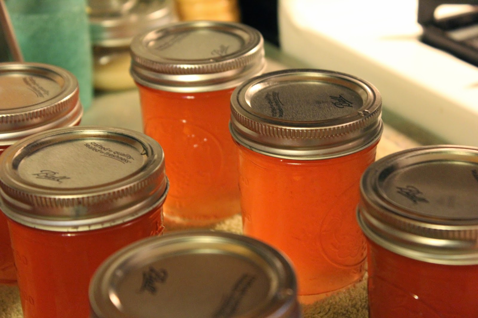 Reflections in the Window Peach Juice Jelly