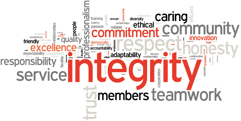 values, integrity, commitment, community, caring responsibility, awareness, kindness, alignment