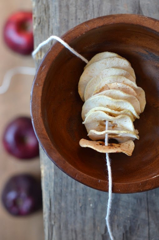 Dehydrated Apples, Apple Sauce & an Exercise in Photography Sneak Peek