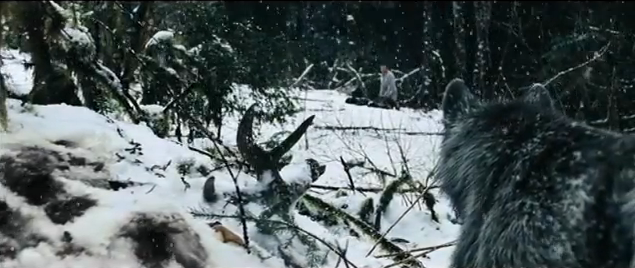 The Grey 2012 movie trailer review movie trailer impressions liam neeson versus wolf