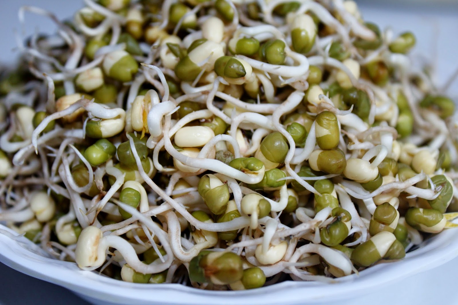 SavisPassions How to Sprouts Moong Dal / Hesarukalu /Pesaru Pappu