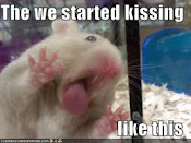 Silly Hamster!!! :D